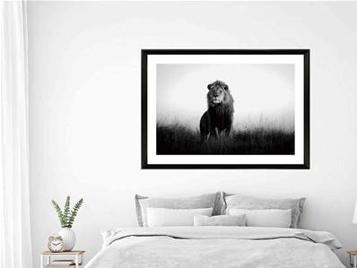 Photo Noir Et Blanc Encadree Le Roi Lionpie225 La Maison D Amy Photo Noir Et Blanc Encadree Le Roi Lionpie225 La Maison D Amy