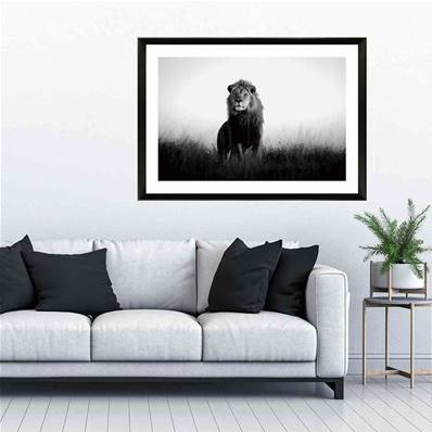 Photo Noir Et Blanc Encadree Le Roi Lionpie225 La Maison D Amy Photo Noir Et Blanc Encadree Le Roi Lionpie225 La Maison D Amy